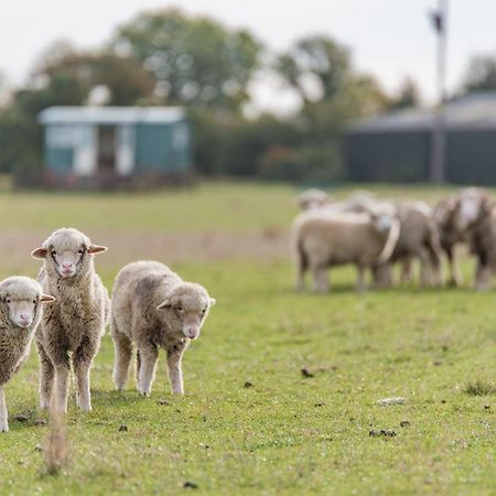 Romney Marsh Huts By Bloom Stays Ashford  Kültér fotó