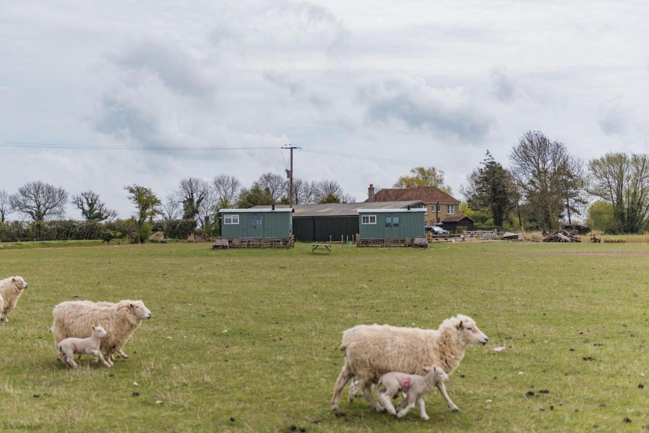 Romney Marsh Huts By Bloom Stays Ashford  Kültér fotó